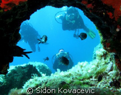 window  by Sidon Kovacevic 
